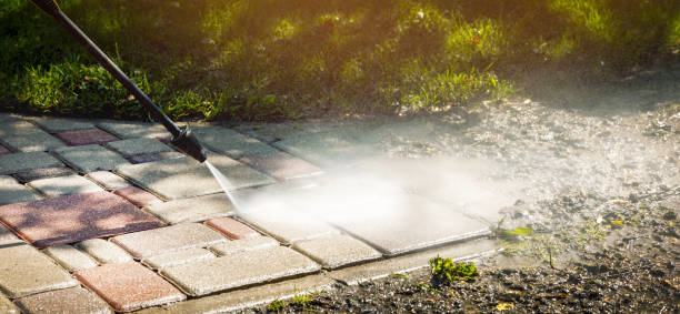 Best Gutter Cleaning  in Coon Rapids, MN